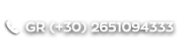 liveall 801 phone