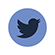 twitter button
